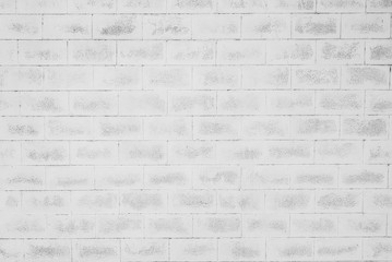 Fototapeta premium White background texture wall,cement concrete