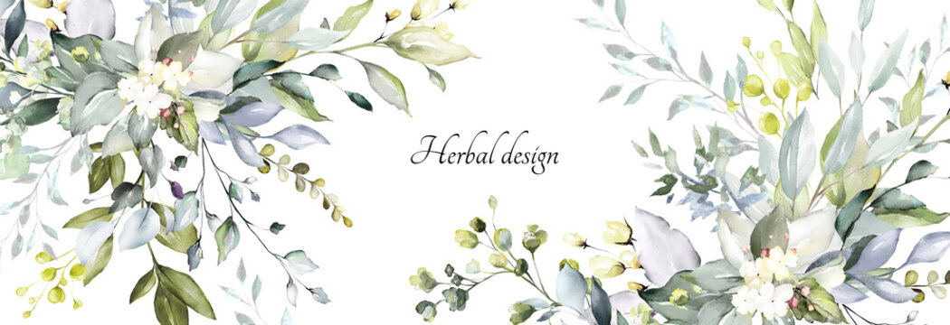 botanical design. horizontal herbal banners on white background for wedding invitation, business products. web banner with leaves, herbs