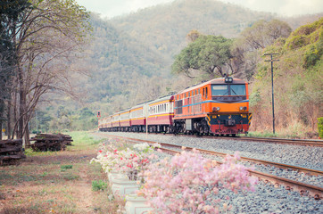 Intercity train passing the countryside.