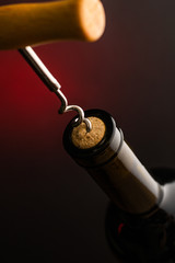 Corkscrew and wine bottle