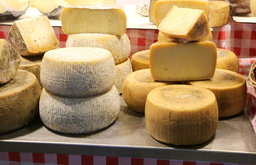 cheese made with milk oh sheep and caciotta cheese with milk of