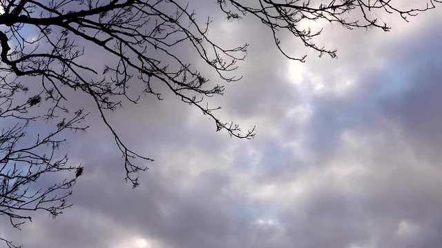 A plane comes in to land at Heathrow airport