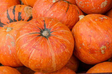 Orange pumpkins as background