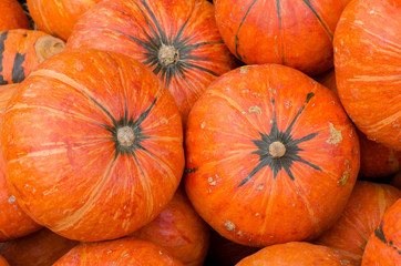 Orange pumpkins as background