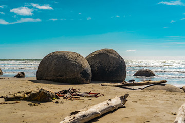 Obraz na płótnie Canvas Moeraki Boulders in New Zealand on the beach, Moeraki beach on the east coast of New Zealand, Moeraki Boulders with the ocean and blue sky in the background
