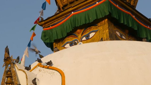 Colorful prayer flags wawing in the wind over Stupa temple, Holy Pagoda, symbol of Nepal and Kathmandu with Buddha's Eyes. Sunset ligth. tibetan buddhism. Pigeons flying over ancient architecture.