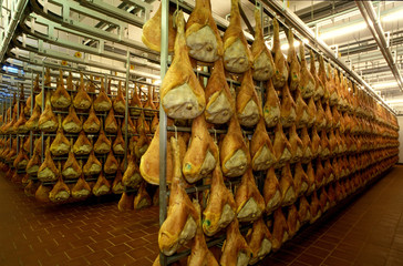 Fototapeta premium sala di stagionatira prosciutto di San Daniele