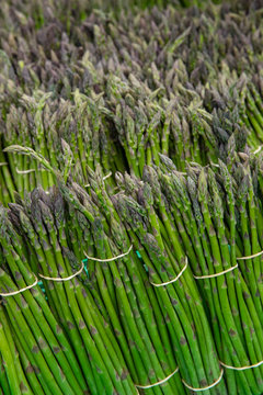 At the farmers market of Featherston New Zealand