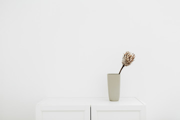 Protea flower in vase on white chest of drawers.