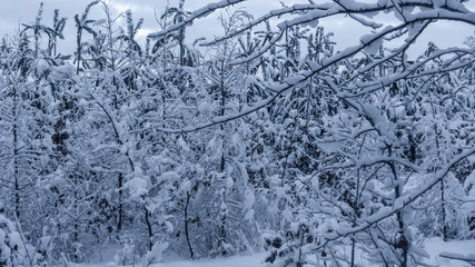 Winterzeit