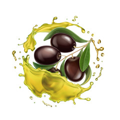 Olive oil splashing isolated Vector