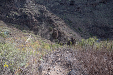 barranco del infierno tenerife canarias