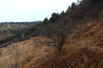 beautiful winter mountain landscape
