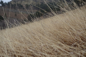 beautiful winter mountain landscape