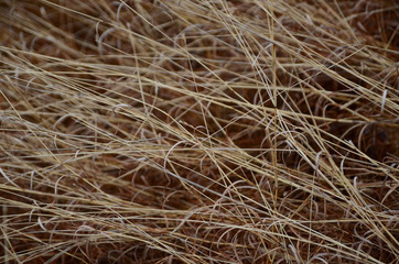 beautiful winter mountain landscape