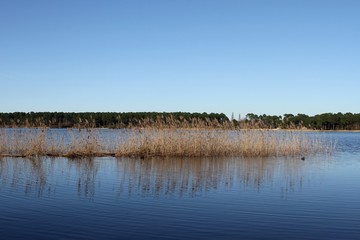 lac de Cazaux et Sanguinet sur la côte atlantique