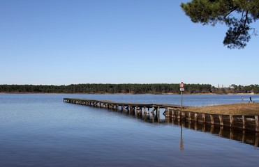 Naklejka premium le lac de Cazaux et Sanguinet sur la côte atlantique