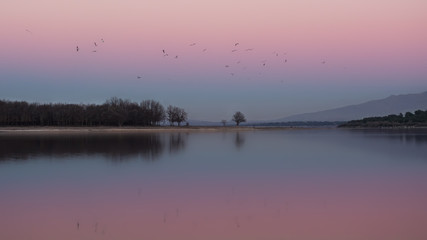 Reflejos al amanecer
