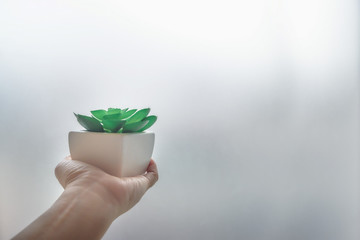 The hand of a cactus man in a white square pot on the floor of a wooden floor that beautifully decorated the room.