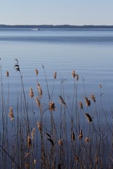 lac de cazaux et Sanguinet sur la côte atlantique