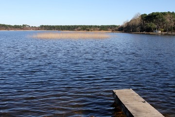 Obraz premium le lac de Cazaux et Sanguinet sur la côte atlantique