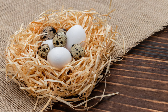 common chicken eggs and quail