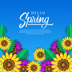 Hello spring background banner template with fresh purple yellow flower blossom from top view 