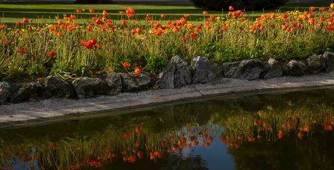 Gordijnen Flowers in the Bathhouse park. Reflections. Rotorua New Zealand park. © A