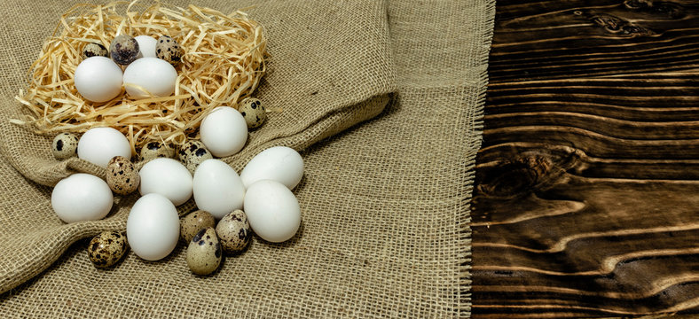 common chicken eggs and quail