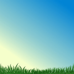 Vector image of green grass on a background of blue summer sky. Copy space. Background or texture with floral ornament.