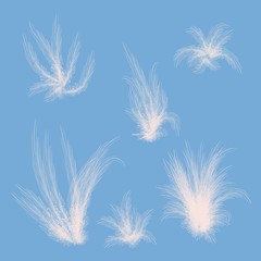 Set of vector images. Unusual plants with long thin leaves on a blue background. Pattern for fabric and clothes.