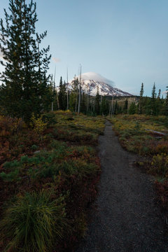 Trail in Mt Rainier National Park, with the snow covered volcano in the background