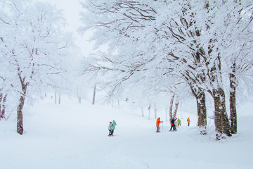 Landscape and Mountain view of Nozawa Onsen in winter , Nagano, Japan. - obrazy, fototapety, plakaty