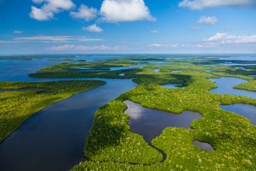 Aerial view, Everglades Natuional Park, FLORIDA, USA, AMERICA - obrazy, fototapety, plakaty
