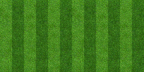Fototapety  Green grass field background for soccer and football sports. Green lawn pattern and texture background. Close-up.