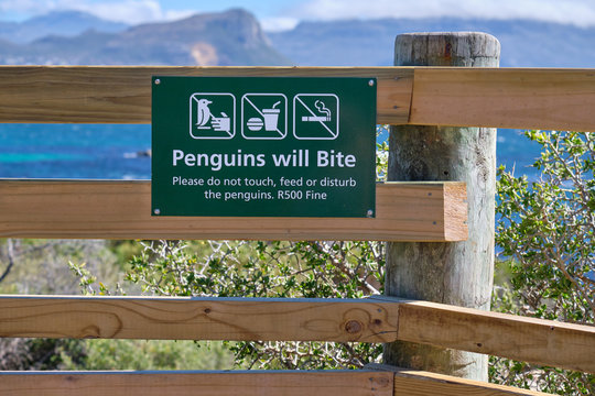 Penguins will bite warning sign against fence on beach.