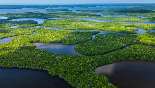 Aerial view, Everglades Natuional Park, FLORIDA, USA, AMERICA