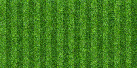 Green grass field background for soccer and football sports. Green lawn pattern and texture background. Close-up.