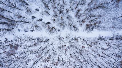 Snowy forest landscape View from the helicopter above the ground Forest road covered with snow from the mean height during flight