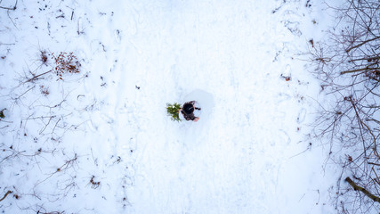 Winter wedding and snowy forest landscape view from the drones above the ground forest road covered with snow from the middle height during flight