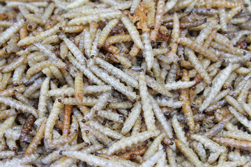 Healthy exotic food fried insects in local street market in Thailand , larvae