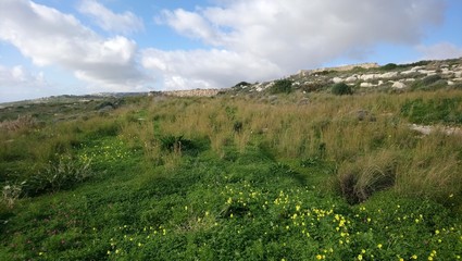 Naklejka premium Malta karge felsige Landschaft rocky landscape