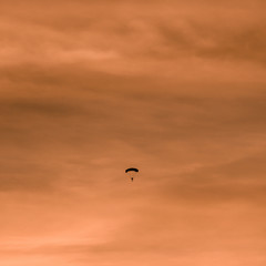 Panoramic image with silhouette of parachutist flying slowly on parachute in the beautiful sky at sunset.