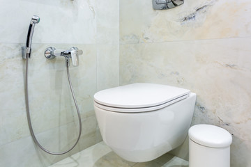 toilet and detail of a corner shower bidet with wall mount shower attachment