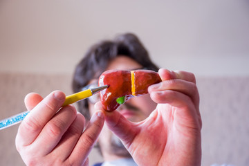 Doctor on defocused background holds in his hand anatomic model of gallbladder and liver, pointing...