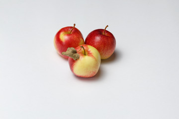 three red-yellow apples on a white background