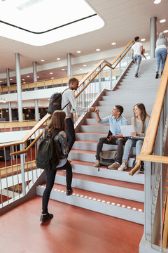 Full length of multi-ethnic students greeting on steps in university campus