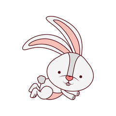cute rabbit isolated icon