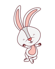 cute rabbit isolated icon