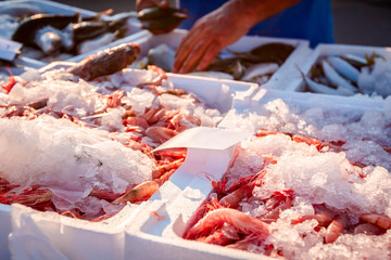 Fresh shrimps on Ice at outdoor fish flea market